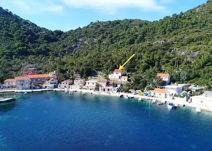 Belin Mljet